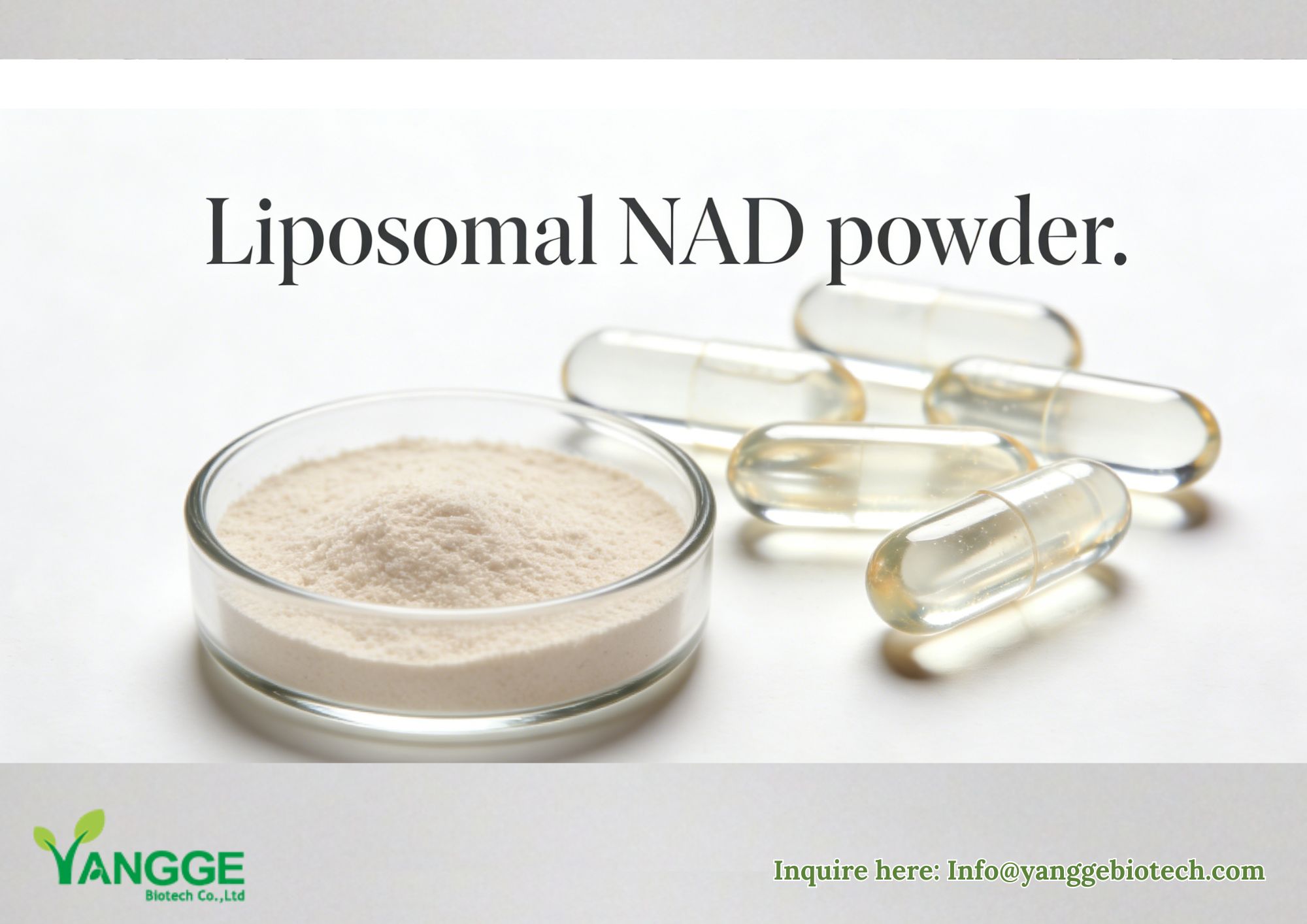 50% 70% Liposomal NAD+ 